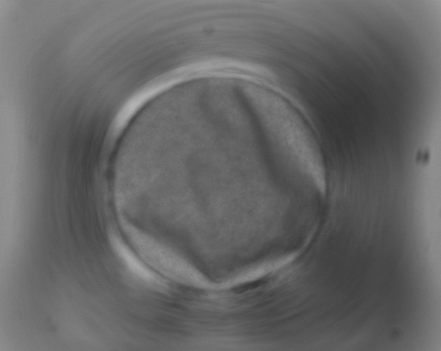 X0000113951531200910161927