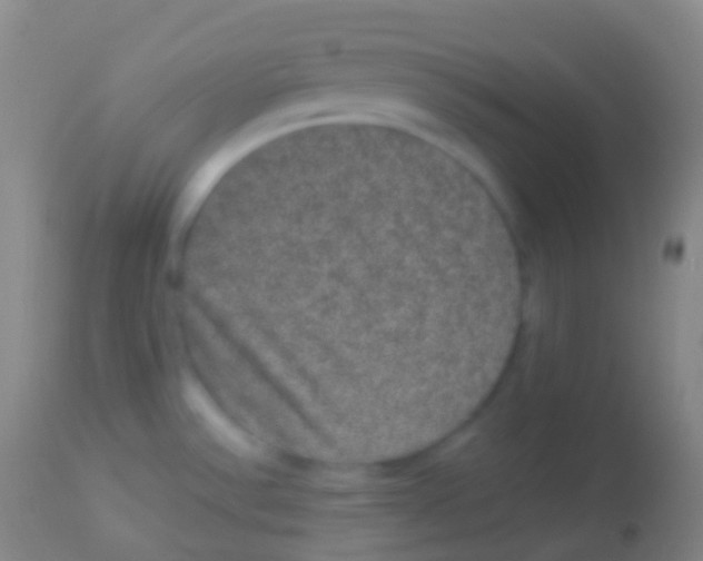 X0000113951532200910161927