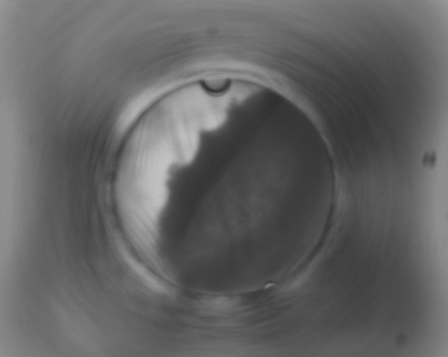 X0000113951533200910161927