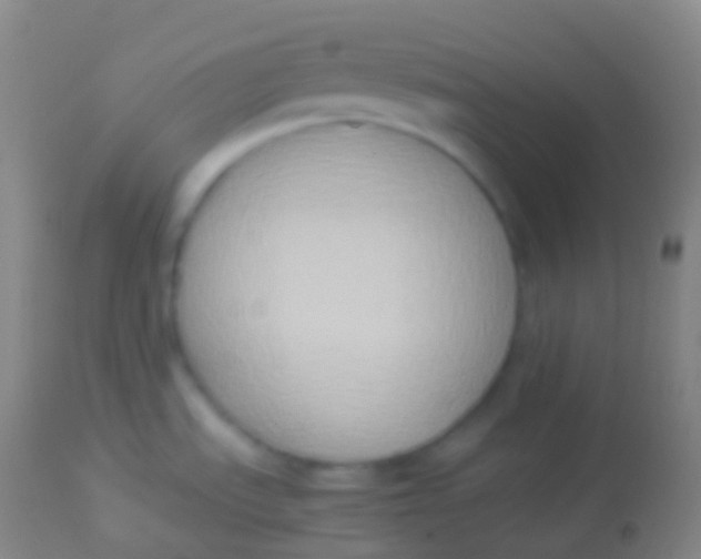 X0000113951535200910161927