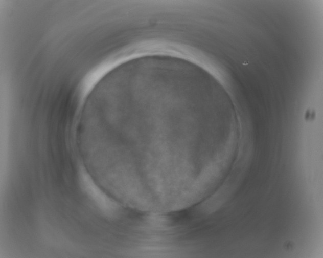 X0000113951536200910161927