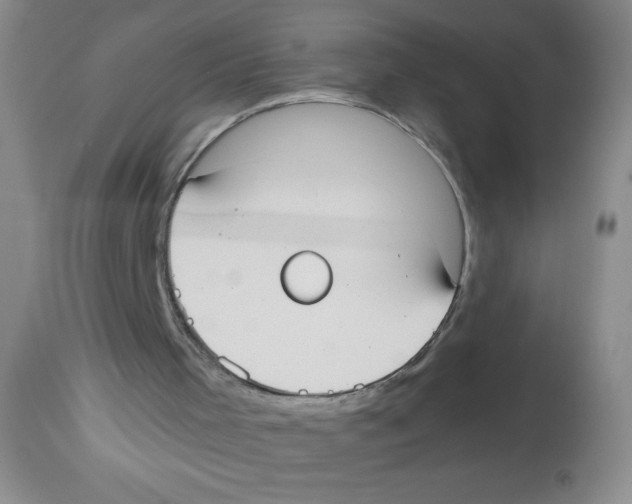 X0000113950001200910232017