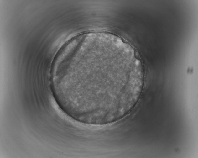 X0000113950002200910232017