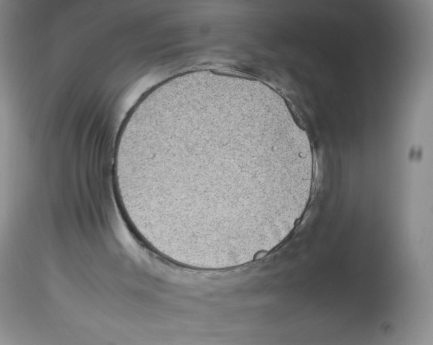 X0000113950003200910232017