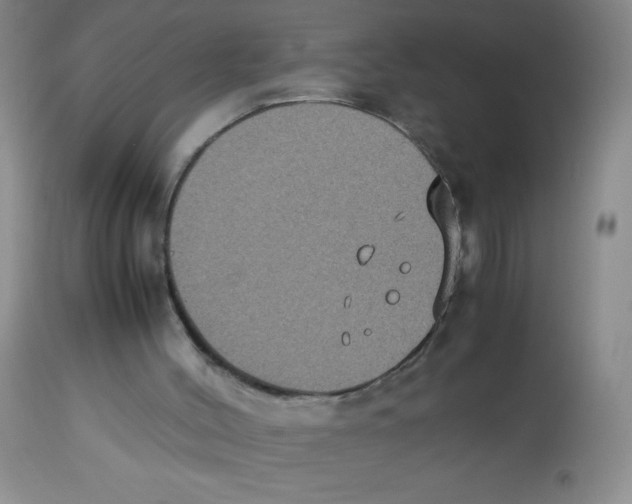 X0000113950004200910232017