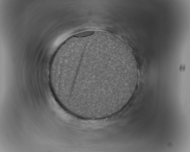 X0000113950005200910232017