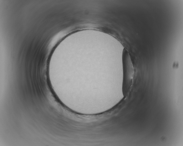 X0000113950006200910232017