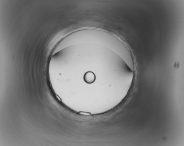 X0000113950007200910232017