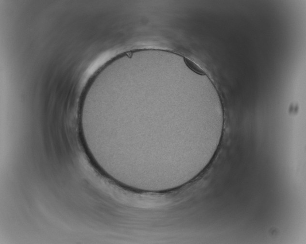 X0000113950008200910232017