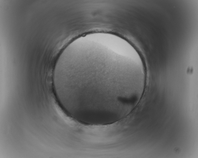 X0000113950009200910232017