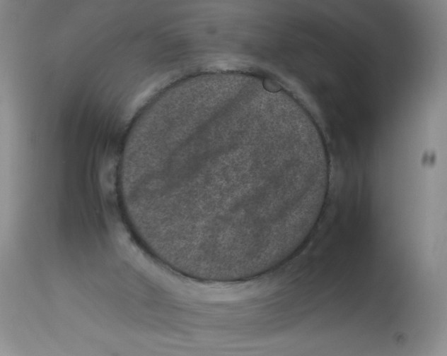 X0000113950010200910232017