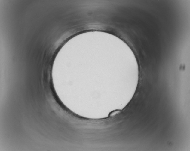 X0000113950011200910232017