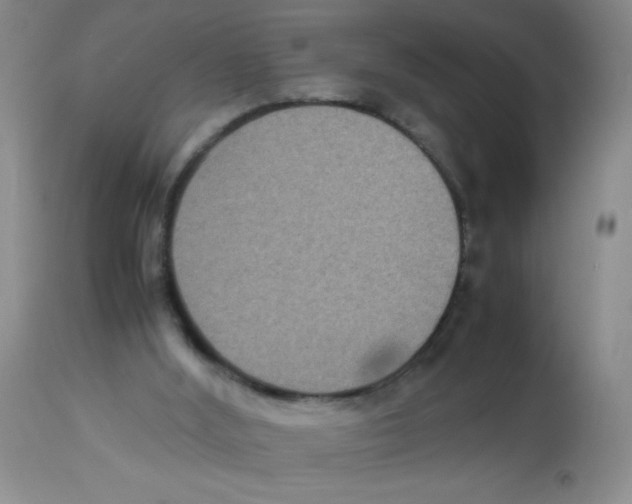 X0000113950012200910232017