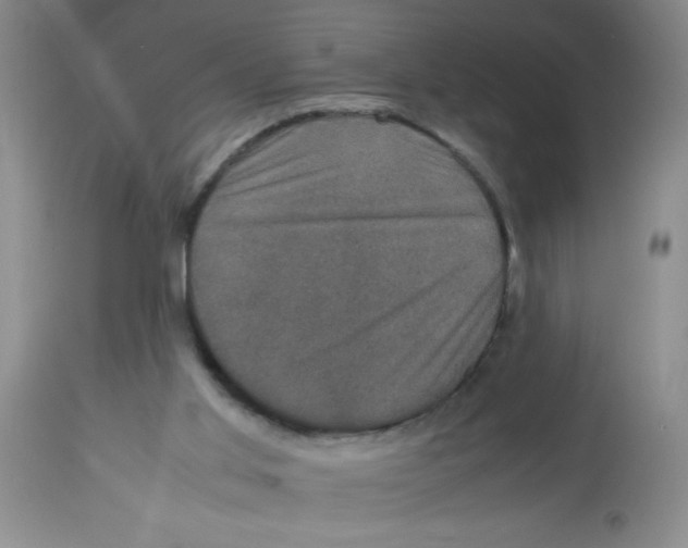 X0000113950013200910232017