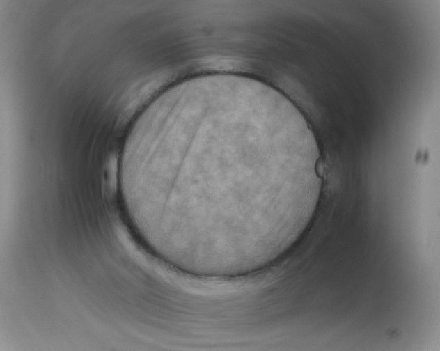 X0000113950014200910232017