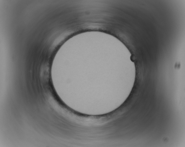 X0000113950016200910232017