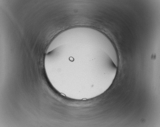 X0000113950017200910232017