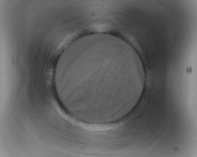 X0000113950018200910232017