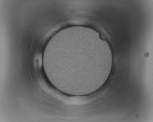 X0000113950020200910232017
