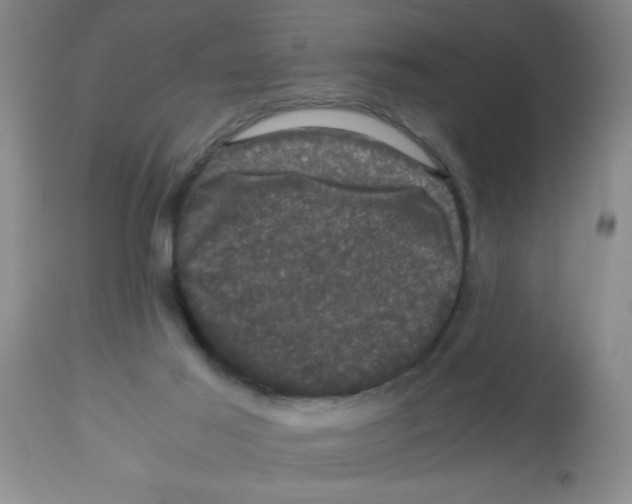 X0000113950021200910232017