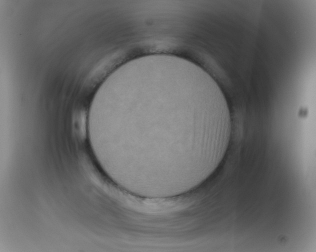 X0000113950022200910232017