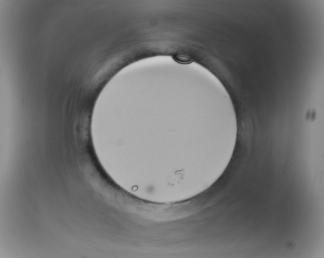 X0000113950023200910232017
