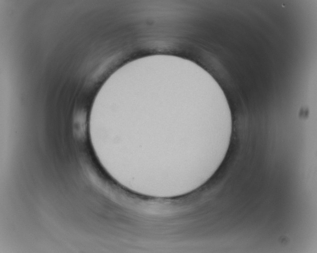 X0000113950024200910232017