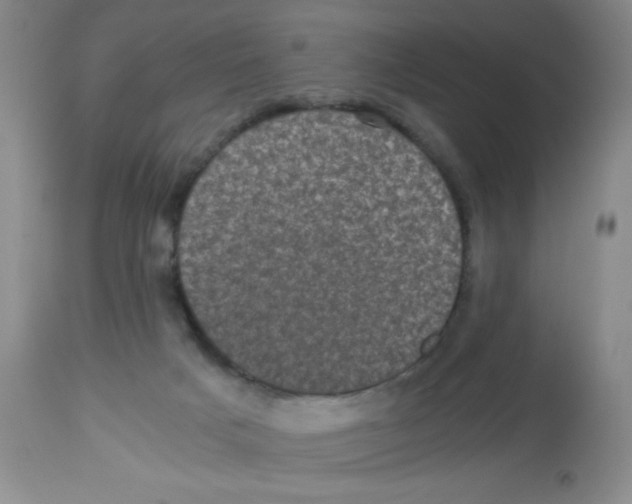 X0000113950025200910232017
