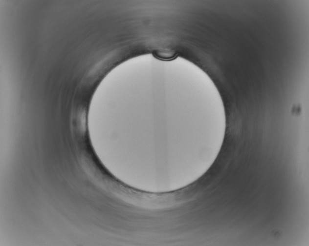 X0000113950027200910232017