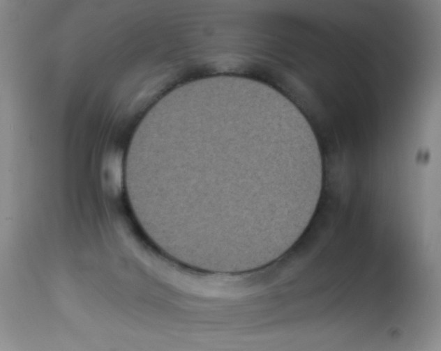 X0000113950028200910232017