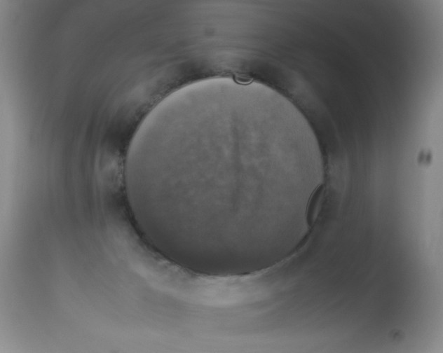 X0000113950029200910232017