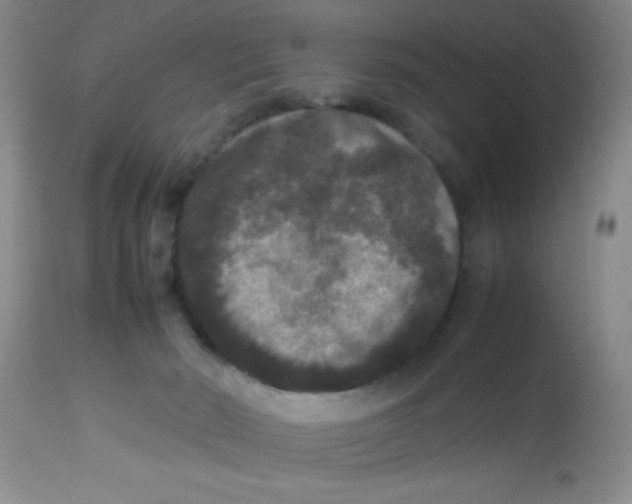X0000113950030200910232017