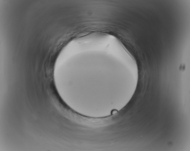 X0000113950031200910232017