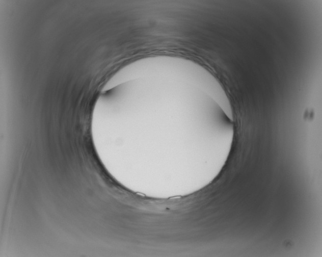 X0000113950033200910232016