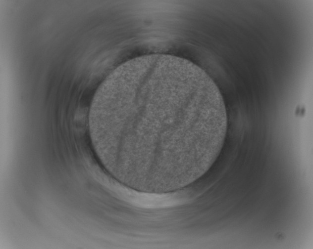 X0000113950034200910232016