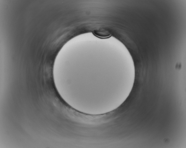 X0000113950035200910232016