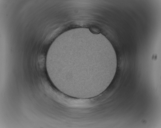 X0000113950036200910232016