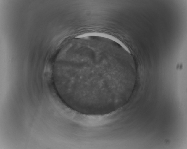 X0000113950037200910232016