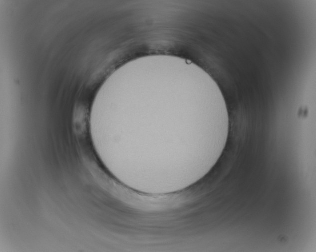 X0000113950038200910232016
