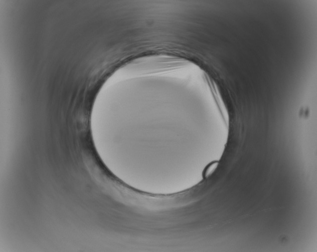 X0000113950039200910232016