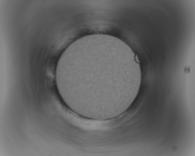 X0000113950040200910232016