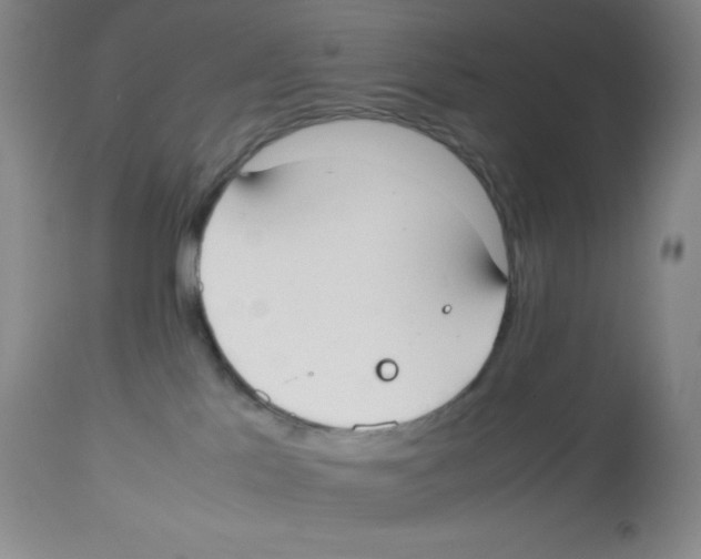 X0000113950041200910232016