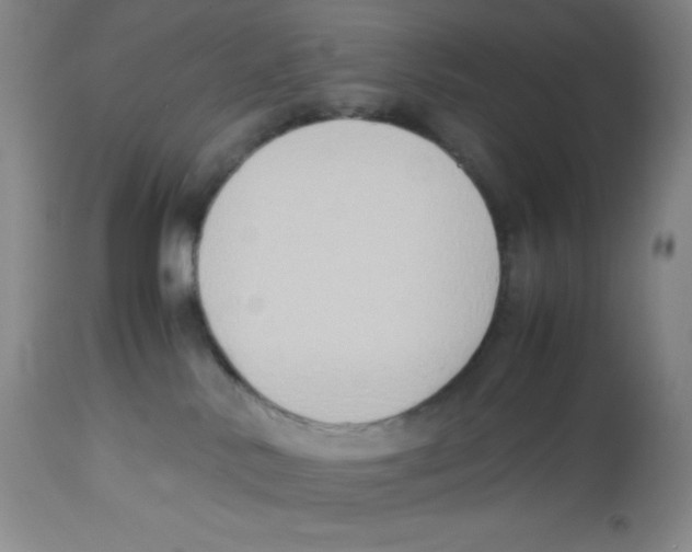 X0000113950042200910232016