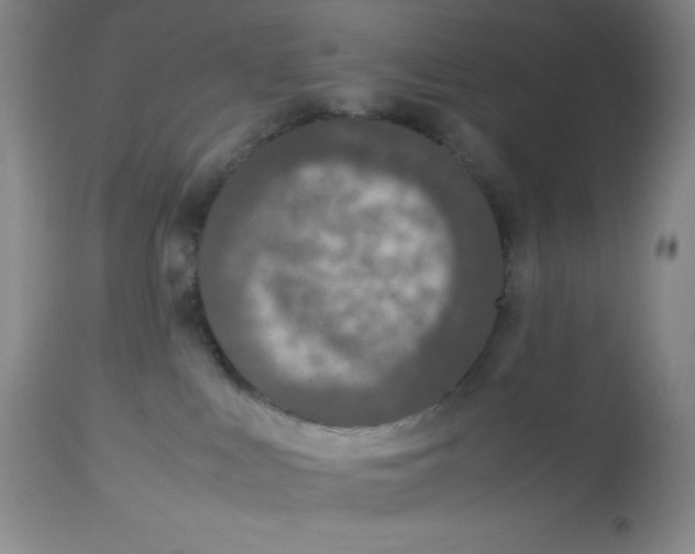 X0000113950043200910232016