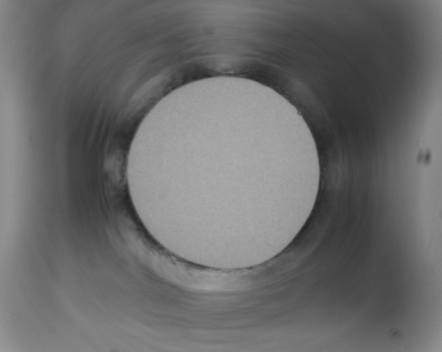X0000113950044200910232016