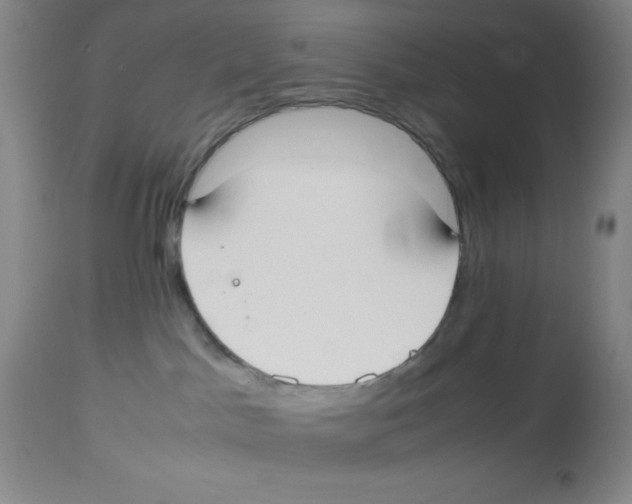 X0000113950045200910232016