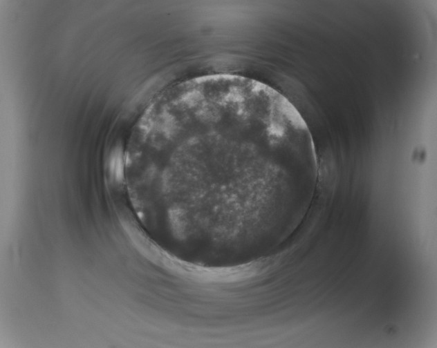 X0000113950046200910232016