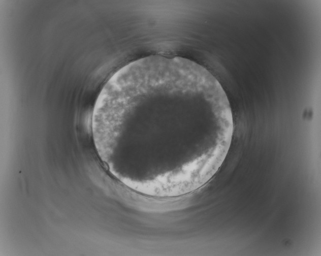 X0000113950047200910232016