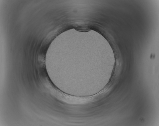 X0000113950048200910232016