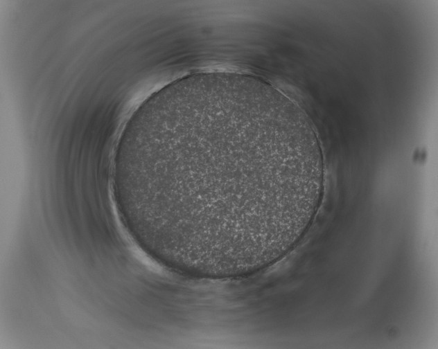 X0000113950049200910232016
